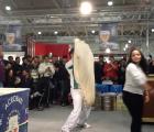 Scuola Nazionale Acrobati Pizzaioli